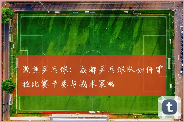 聚焦乒乓球：成都乒乓球队如何掌控比赛节奏与战术策略